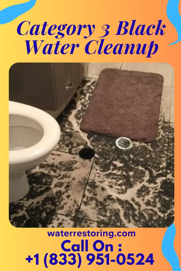 Category 3 Black Water Cleanup in Shade Gap, PA
