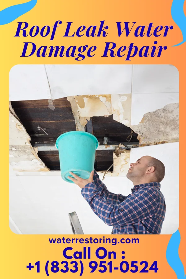 Roof Leak Water Damage Repair in Shade Gap, PA