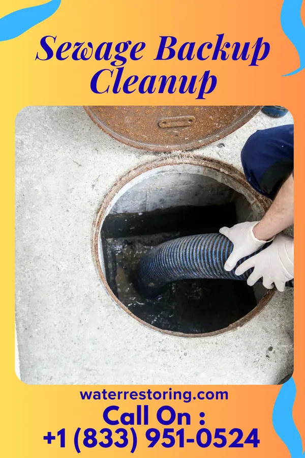 Sewage Backup Cleanup in Shade Gap, PA