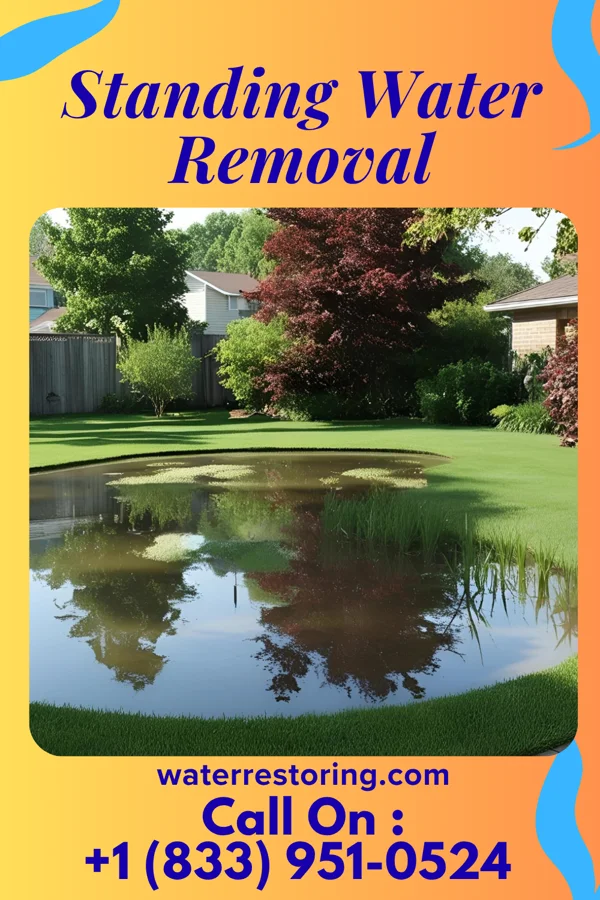 Standing Water Removal in Shade Gap, PA